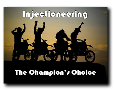 Injectioneering - Chamipon's Choice
